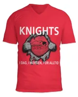 Unisex Jersey SS V-Neck T-Shirt