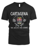 Men's V-Neck T-Shirt Men's V-Neck T-Shirt