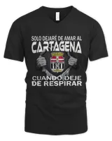 Men's V-Neck T-Shirt Men's V-Neck T-Shirt