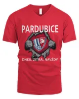 Men's V-Neck T-Shirt Men's V-Neck T-Shirt
