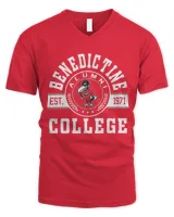 Men's V-Neck T-Shirt Men's V-Neck T-Shirt