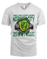Men's V-Neck T-Shirt Men's V-Neck T-Shirt