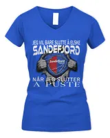 Women's V-Neck T-Shirt Women's V-Neck T-Shirt