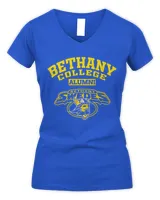 Women's V-Neck T-Shirt Women's V-Neck T-Shirt