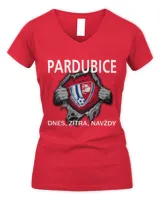 Women's V-Neck T-Shirt Women's V-Neck T-Shirt