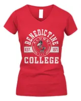 Women's V-Neck T-Shirt Women's V-Neck T-Shirt