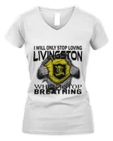 Women's V-Neck T-Shirt Women's V-Neck T-Shirt