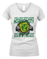 Women's V-Neck T-Shirt Women's V-Neck T-Shirt