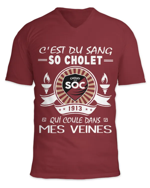 Unisex Jersey SS V-Neck T-Shirt