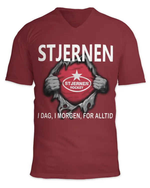 Unisex Jersey SS V-Neck T-Shirt