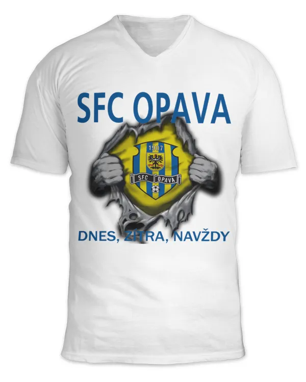 Unisex Jersey SS V-Neck T-Shirt