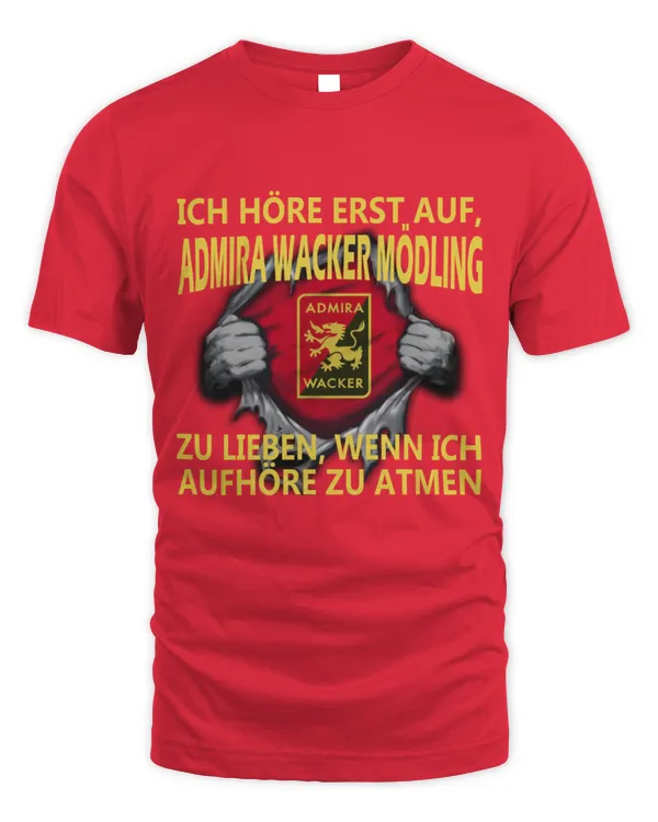 FC Admira Wacker Modling I will only stop AUSTRIA