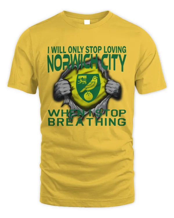 Norwich City I will only stop UK