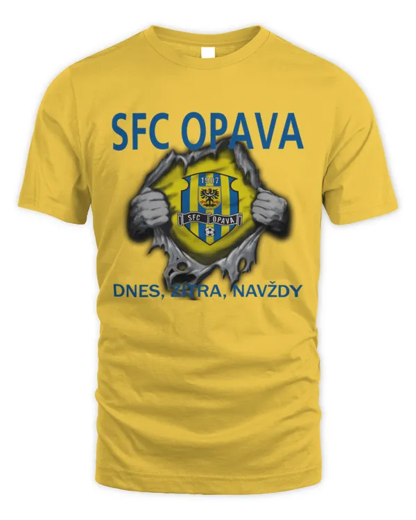 Unisex Standard T-Shirt