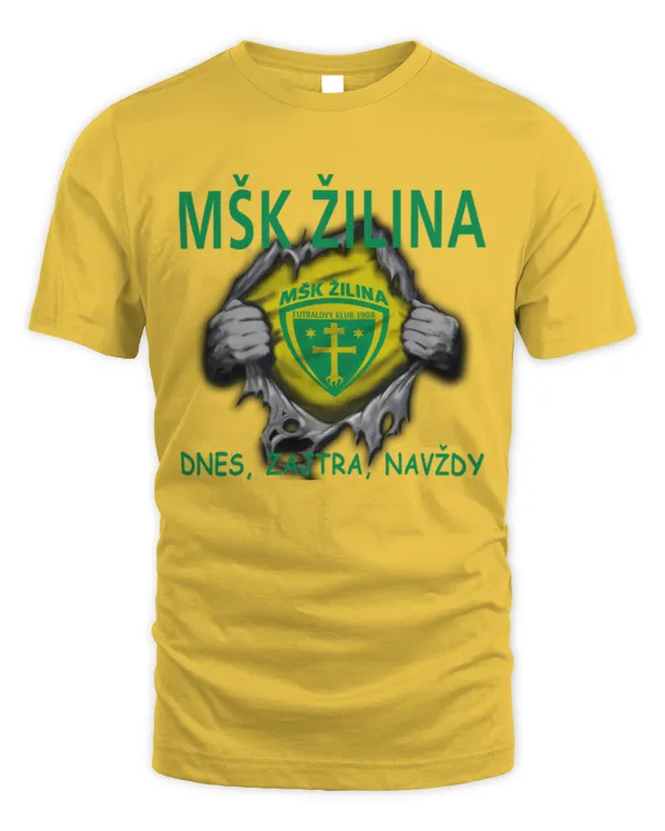 MSK Zilina today Forever SLOKIA