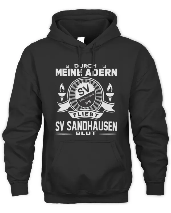 SV Sandhausen Blood runs GER