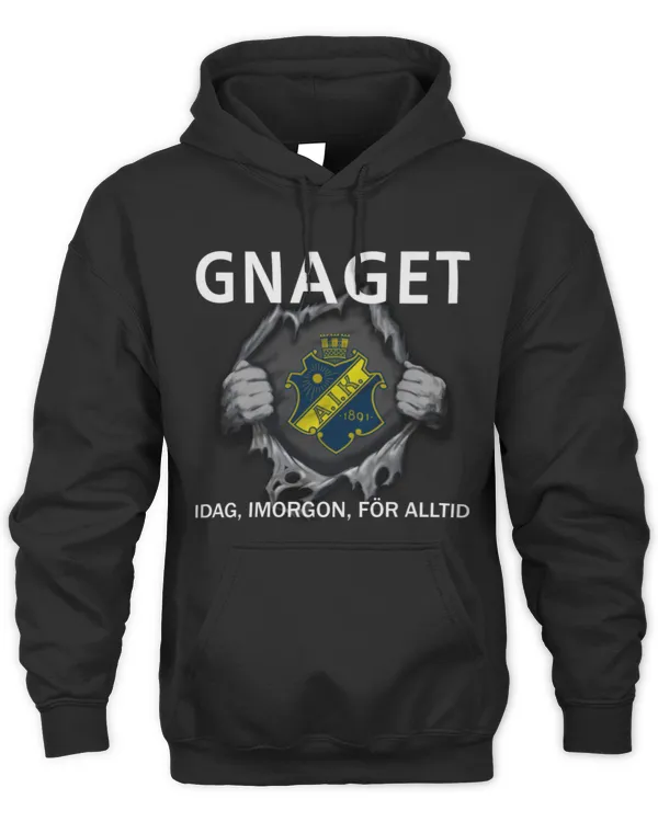 AIK Fotboll today forever SWE