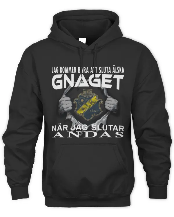 AIK Fotboll I will stop SWE