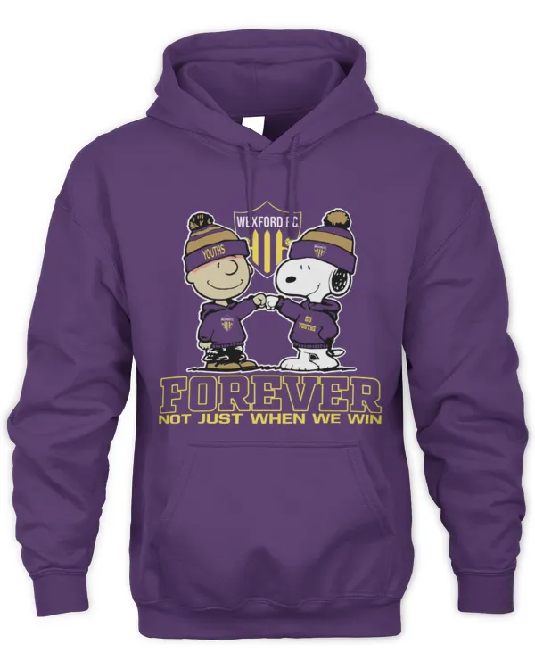 Wexford FC not just we win IRE