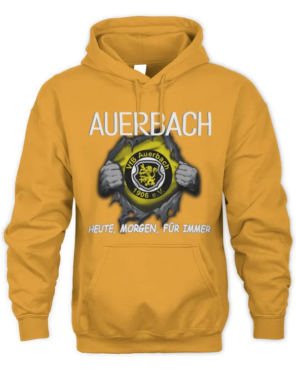 VfB Auerbach Today forever GER