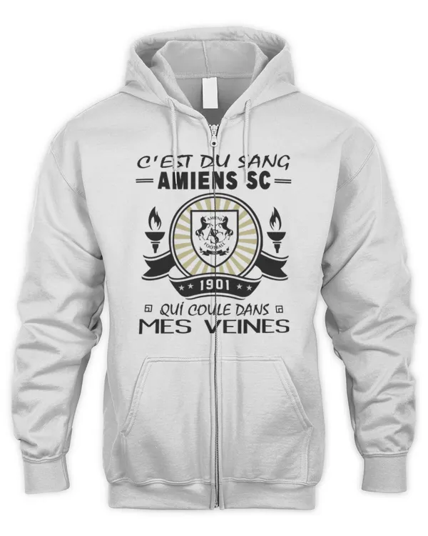 Men's Zip Hoodie