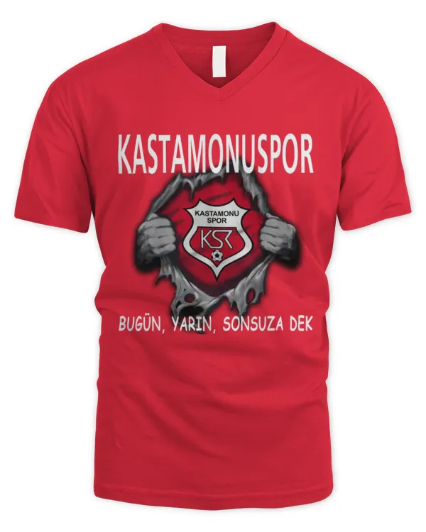 Men's V-Neck T-Shirt
