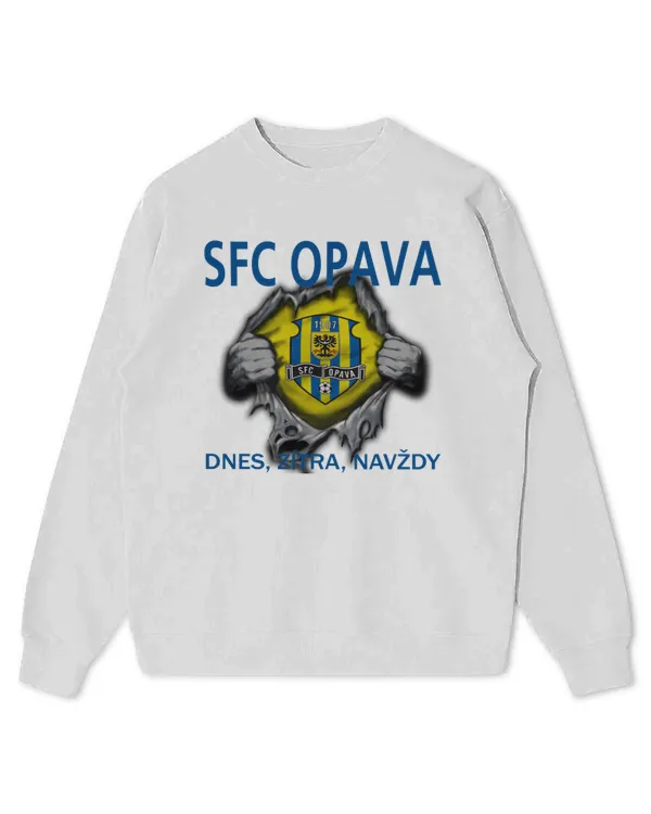 Kids Standard Sweatshirt