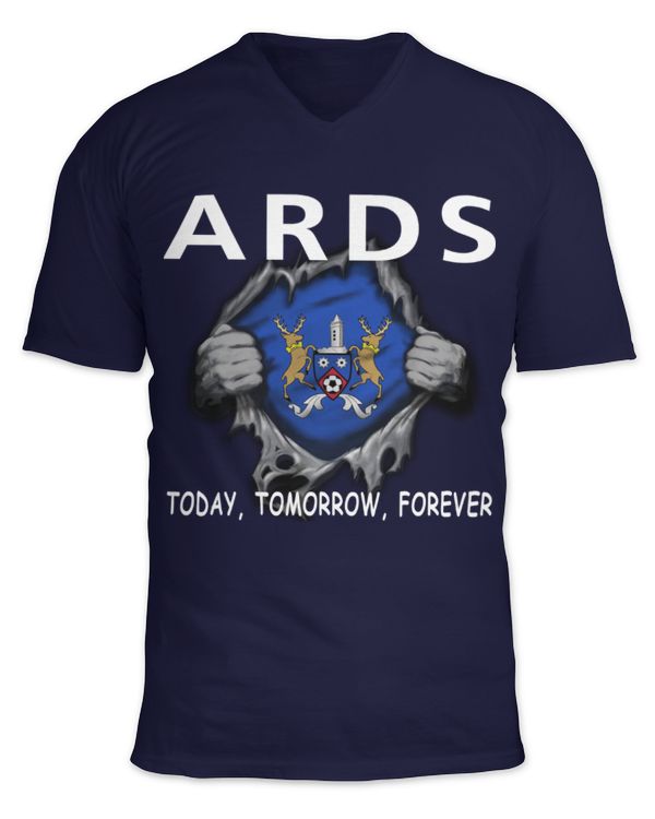 Unisex Jersey SS V-Neck T-Shirt