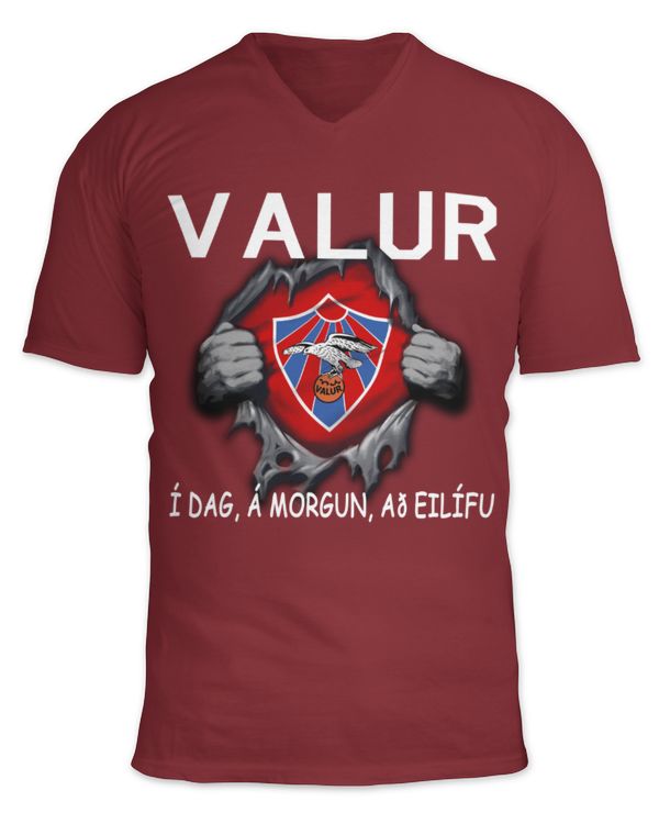 Unisex Jersey SS V-Neck T-Shirt