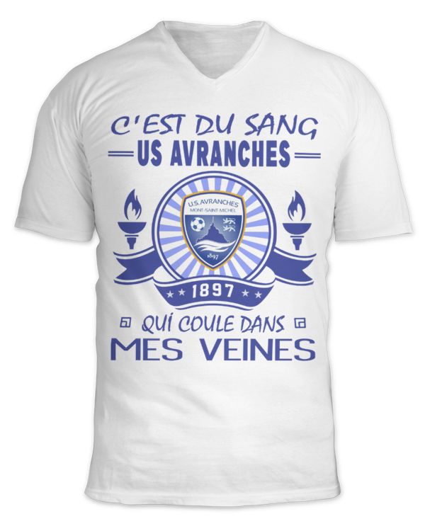 Unisex Jersey SS V-Neck T-Shirt