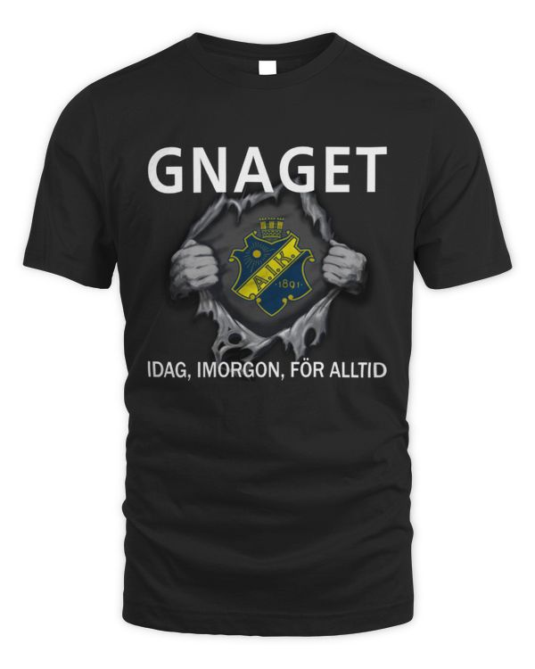 AIK Fotboll today forever SWE