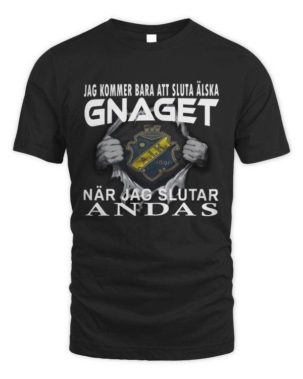 AIK Fotboll I will stop SWE