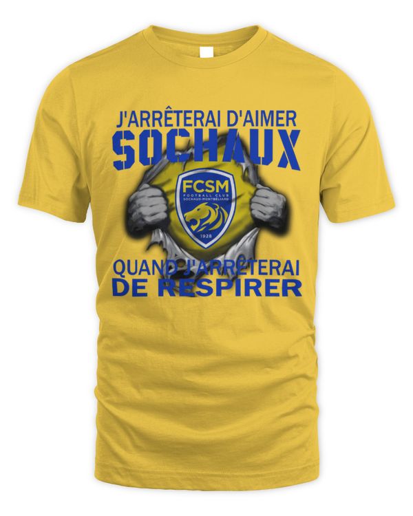 FC Sochaux-Montbéliard I will stop loving _ FRA