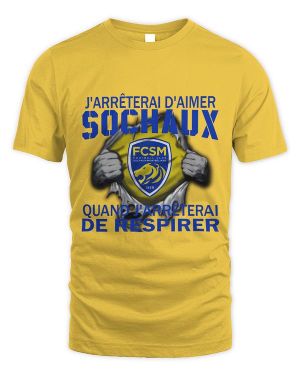 FC Sochaux Montbeliard I will only stop FRA