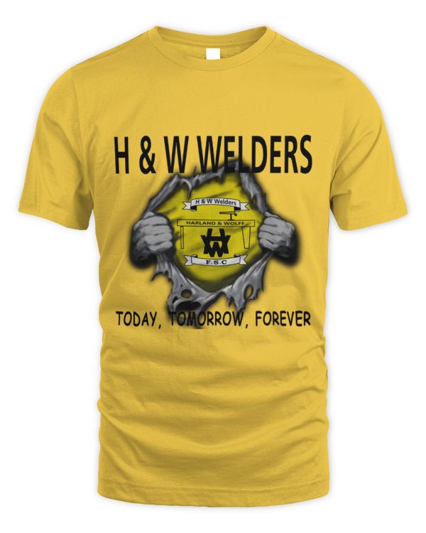 Harland & Wolff Welders FC today Forever NIRE