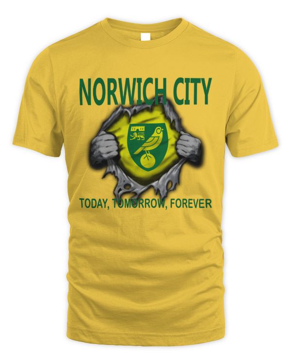 Norwich City Today forever UK