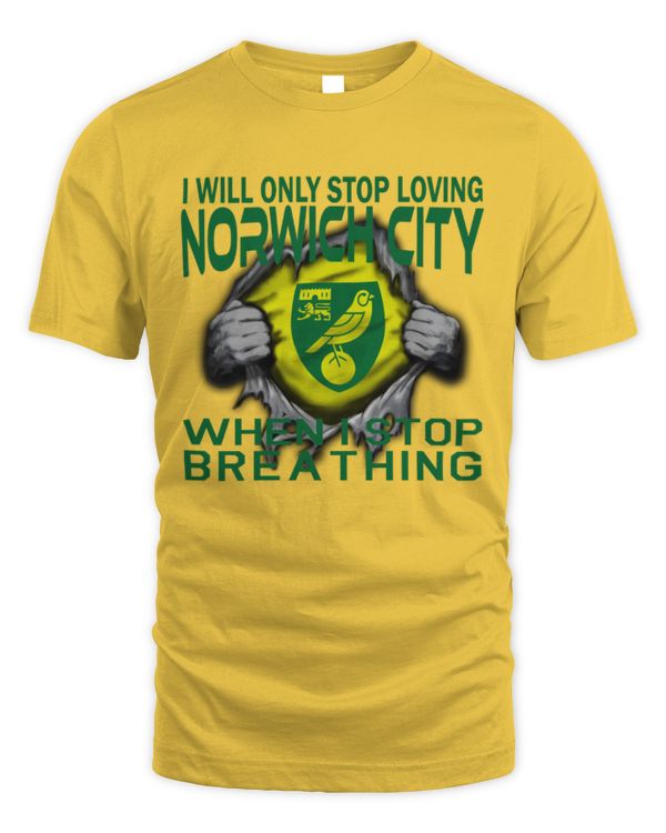 Norwich City I will only stop UK
