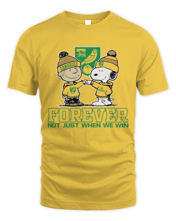 Norwich City Not just we win UK
