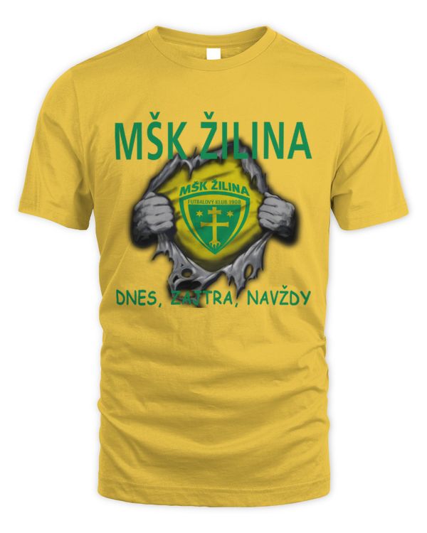 MSK Zilina today Forever SLOKIA