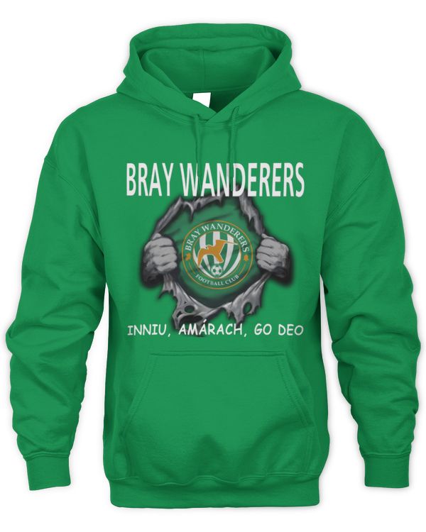 Bray Wanderers FC today forever IRE