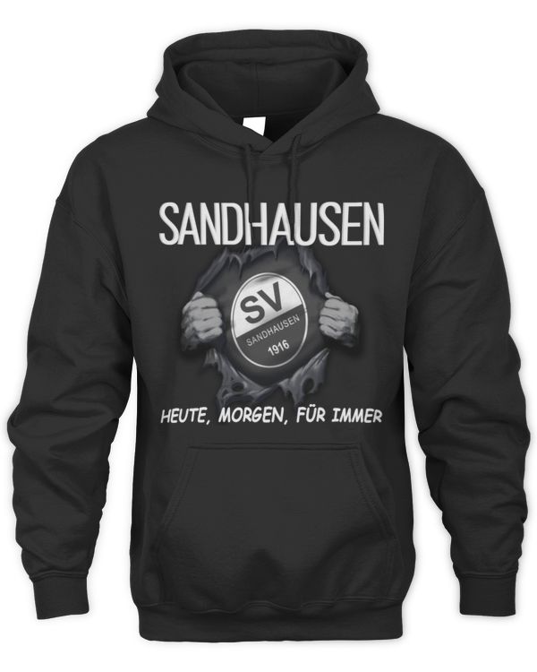 SV Sandhausen Today forever GER
