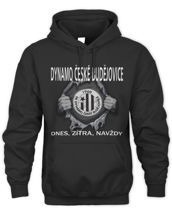 SK Dynamo Ceske Budejovice today forever CZE