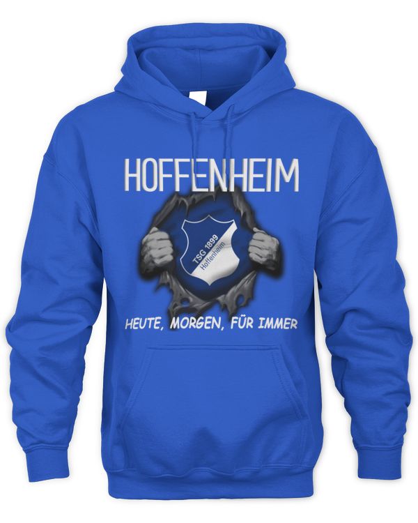 TSG 1899 Hoffenheim Today forever GER