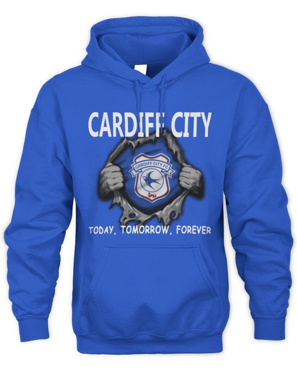 Cardiff City Today forever UK