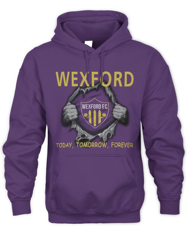 Wexford FC today Forever EN IRE