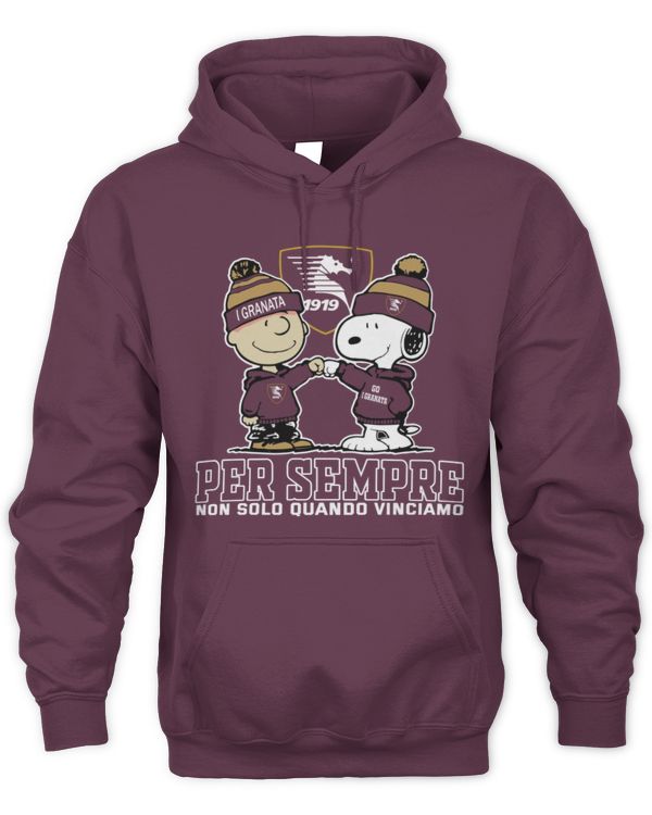 US Salernitana 1919 not just we win ITA