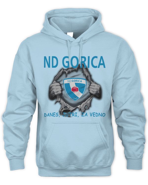 ND Gorica today Forever SLONIA
