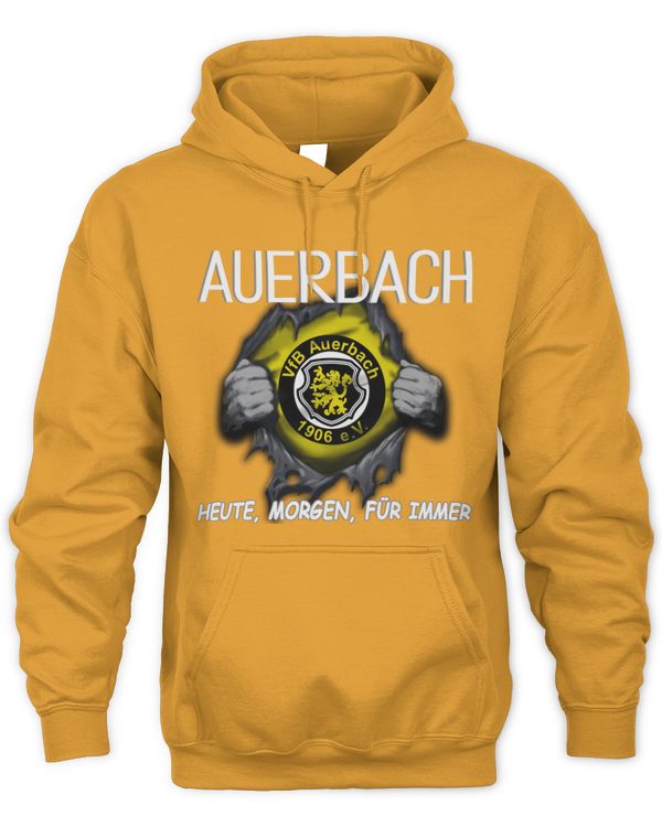VfB Auerbach Today forever GER