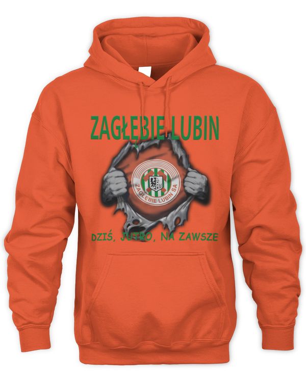 Zaglebie Lubin today forever POL