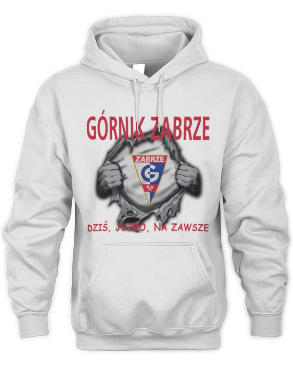 Gornik Zabrze today forever POL